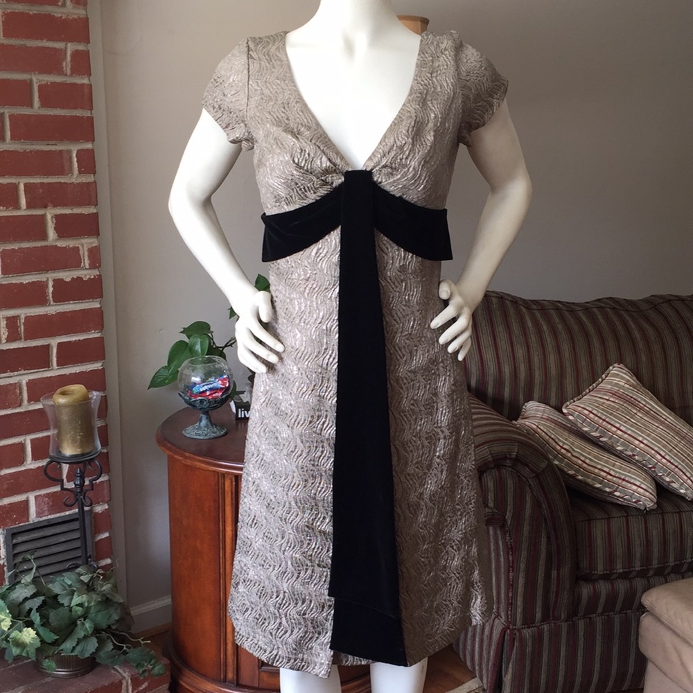 NWT Talbots dress